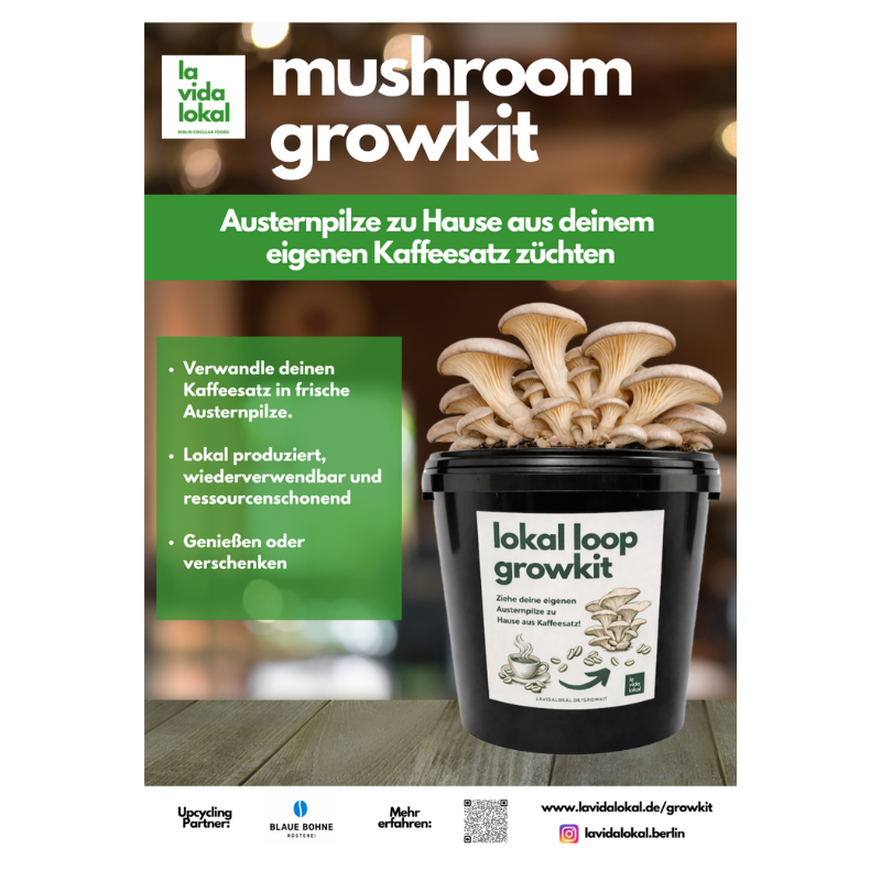 Lokal Loop Growkit - Austernpilze zu Hause aus deinem eigenen Kaffeesatz