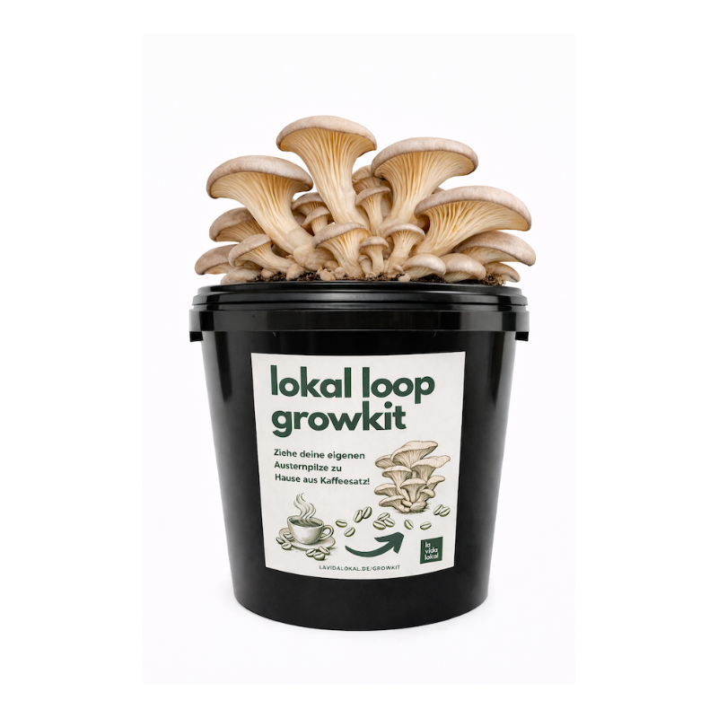 Lokal Loop Growkit - Austernpilze zu Hause aus deinem eigenen Kaffeesatz