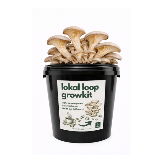 Lokal Loop Growkit - Austernpilze zu Hause aus deinem eigenen Kaffeesatz